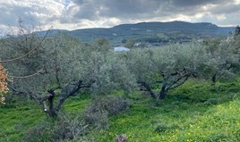Land 1600 m² in Crete