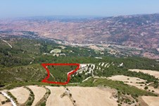 Property 52689 photo 3