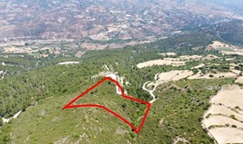 Land 18061 m² in Paphos