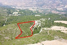 Property 52689 photo 2