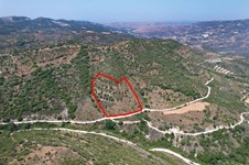 Property 52694 photo 1