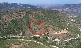 Land 9031 m² in Limassol