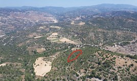 Land 3345 m² in Paphos