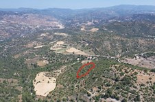 Property 52698 photo 1