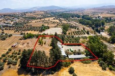 Property 52704 photo 11