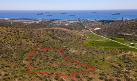 Land 13044 m² in Limassol