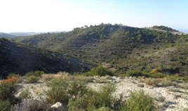 Land 22743 m² in Limassol