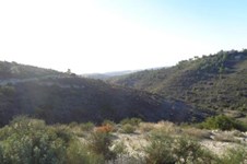 Property 52724 photo 3