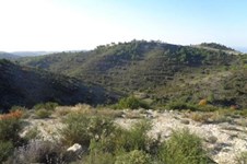 Property 52724 photo 1