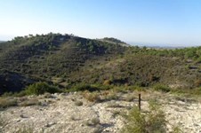 Property 52724 photo 2