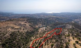 Land 20068 m² in Paphos