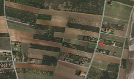 Land 8014 m² in Chalkidiki