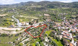 Land 3200 m² in Paphos