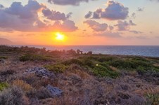 Property 52994 photo 2