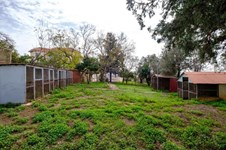 Property 53129 photo 16