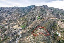 Property 53131 photo 2