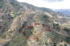 Property 53131 photo 1