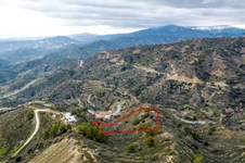 Property 53131 photo 3