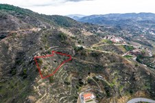 Property 53131 photo 5