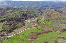 Property 53133 photo 1