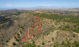 Land 13713 m² in Nicosia