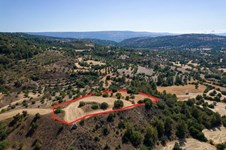 Property 53135 photo 3