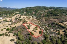 Property 53135 photo 4