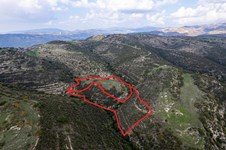 Property 53138 photo 3