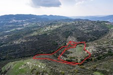 Property 53138 photo 4