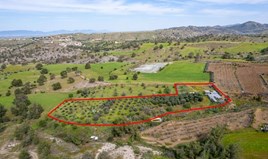 Land 9365 m² in Nicosia