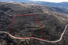 Property 53162 photo 1