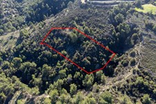 Property 53166 photo 1