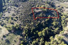 Property 53166 photo 2