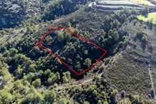 Property 53166 photo 3