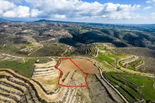 Property 53170 photo 4