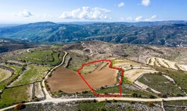 Land 11096 m² in Limassol