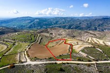 Property 53170 photo 1