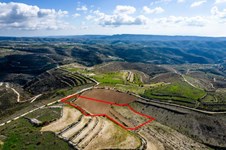 Property 53170 photo 3