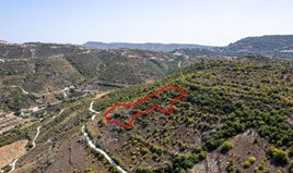 Land 8362 m² in Limassol