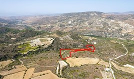 Land 13379 m² in Limassol