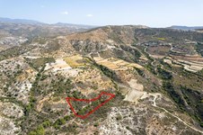 Property 53173 photo 3