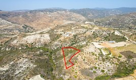 Land 6875 m² in Limassol