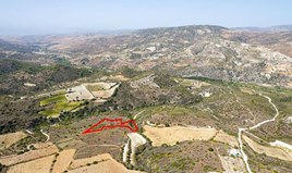 Land 5686 m² in Limassol