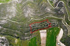 Property 53191 photo 3