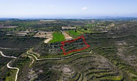 Land 8504 m² in Limassol