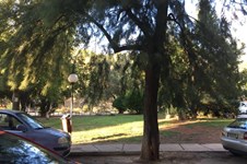 Property 53209 photo 1