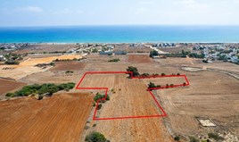 Land 9048 m² in Agia Napa