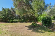 Property 53259 photo 7