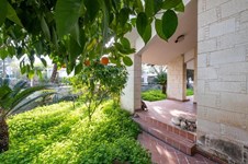 Property 53292 photo 33