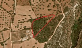 Land 9365 m² in Paphos